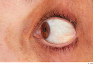 HD Eyes Amelia Freixa eye eyebrow eyelash iris pupil skin…